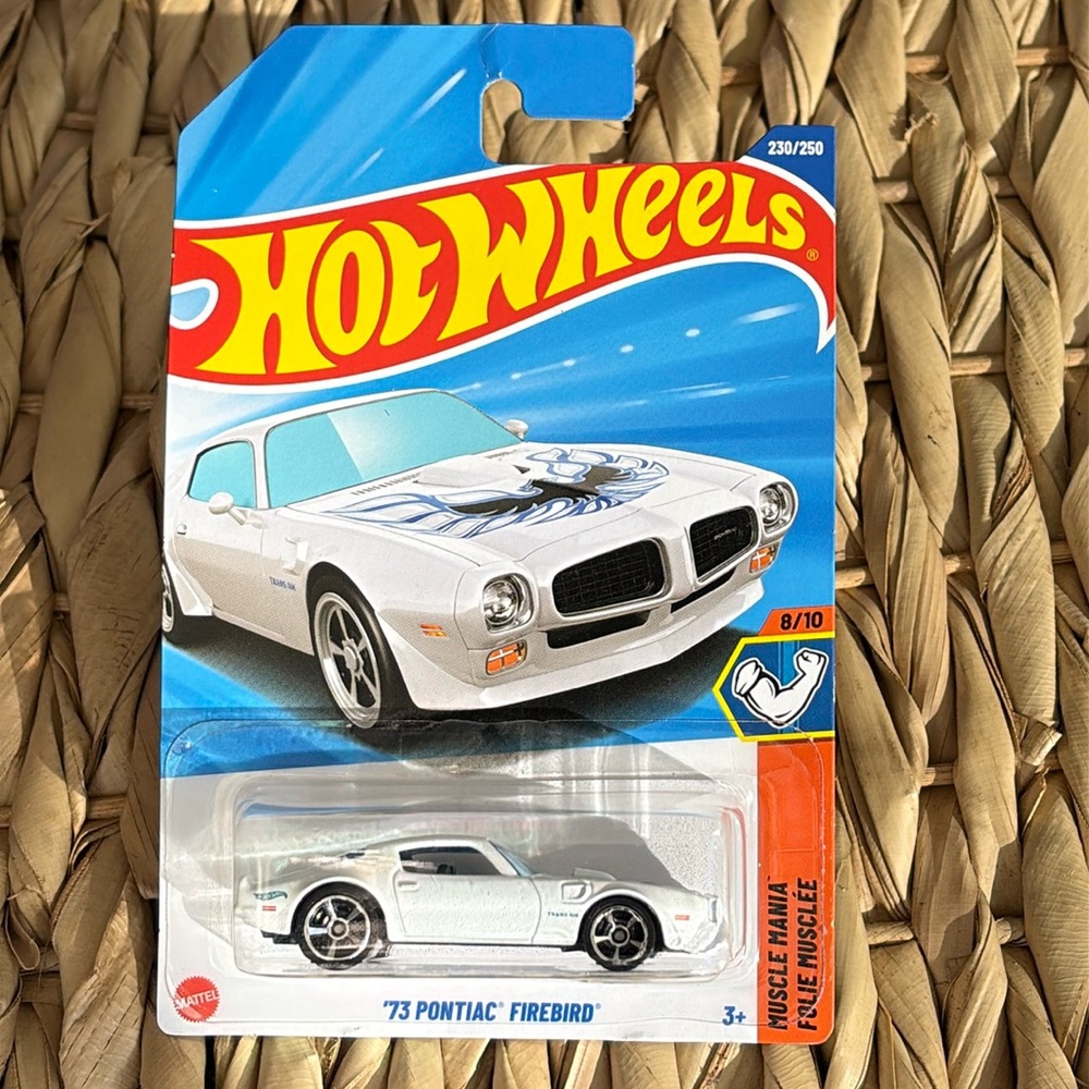 1973 Pontiac Firebird 73 Trans Am Muscle Car White Hot Wheels Hotwheels 2025 🆕